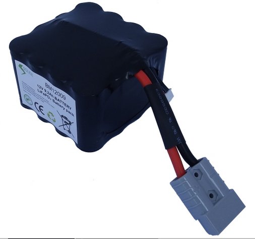 Batteries Rechargeables RNS BM12009 Batteries Rechargeables RNS BM12009